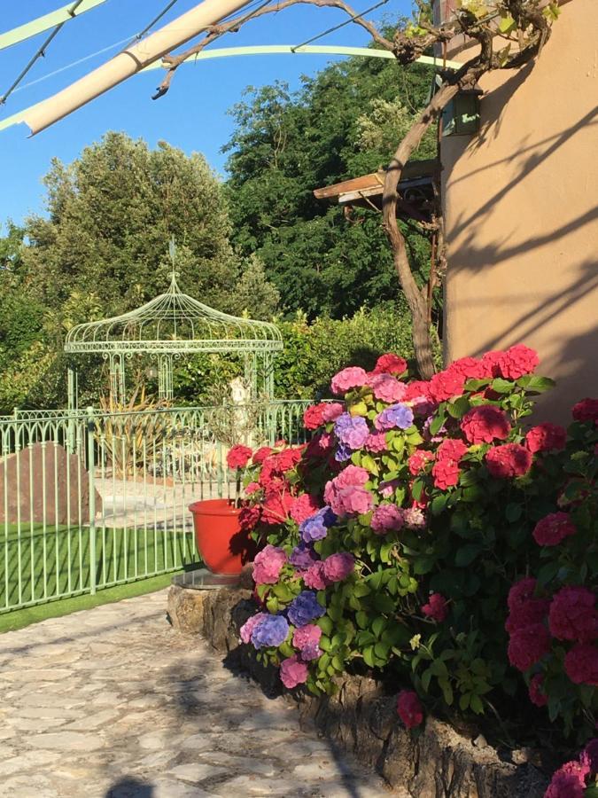 Un Petit Paradis En Provence * Fréjus