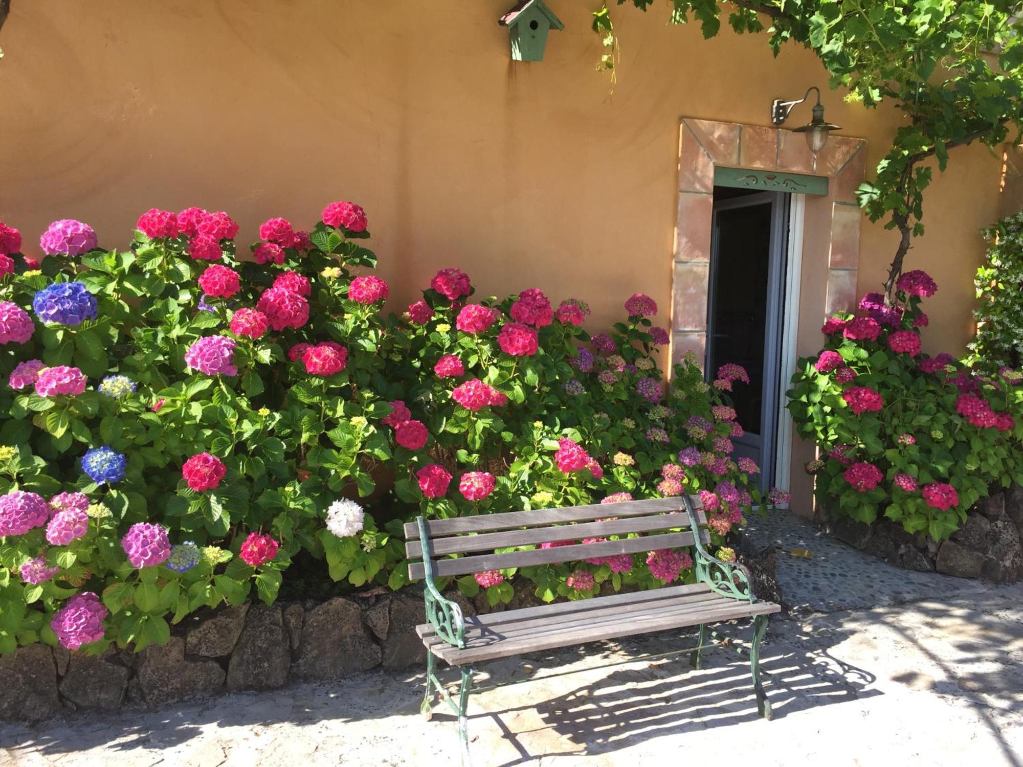 Un Petit Paradis En Provence Affittacamere *