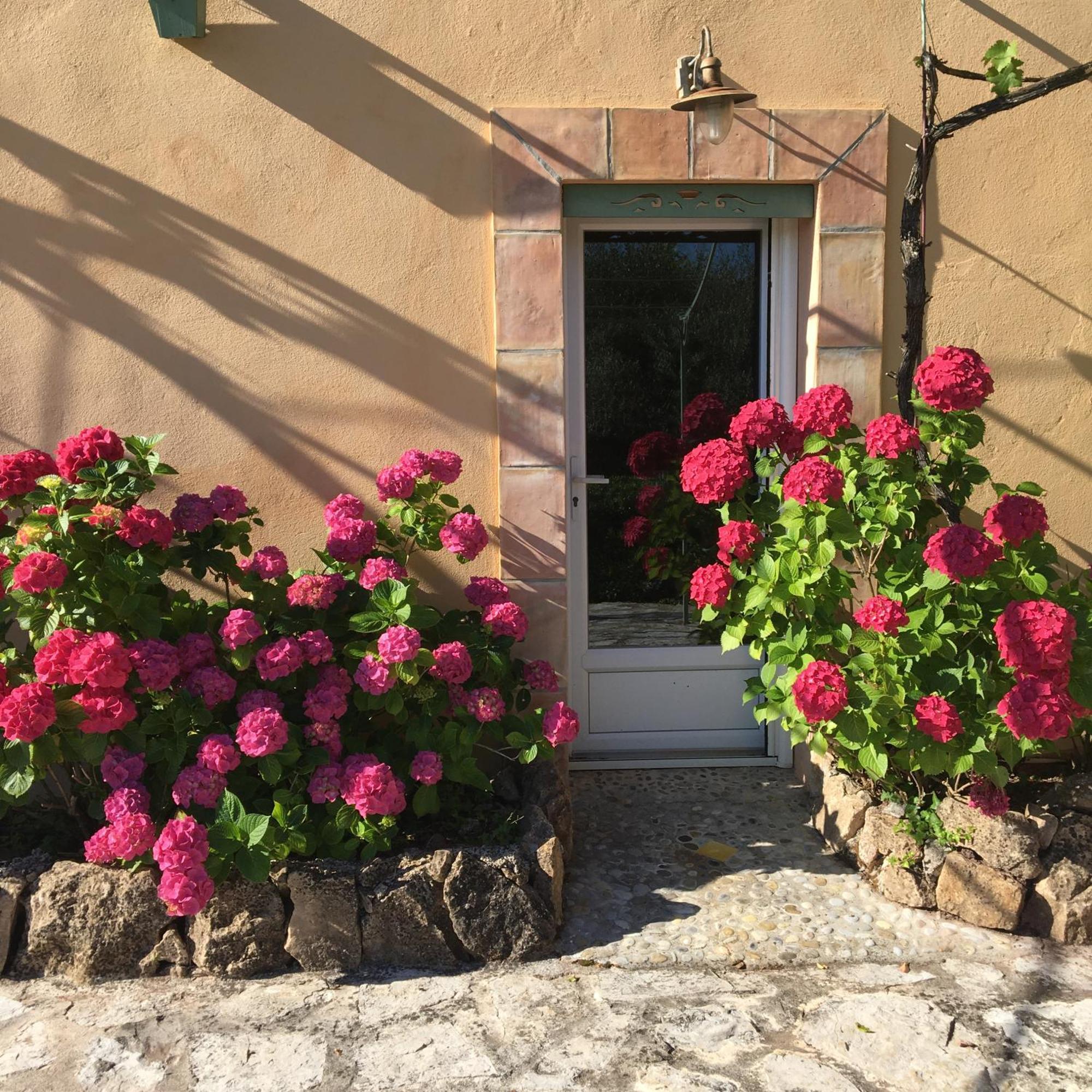 Un Petit Paradis En Provence Affittacamere Fréjus