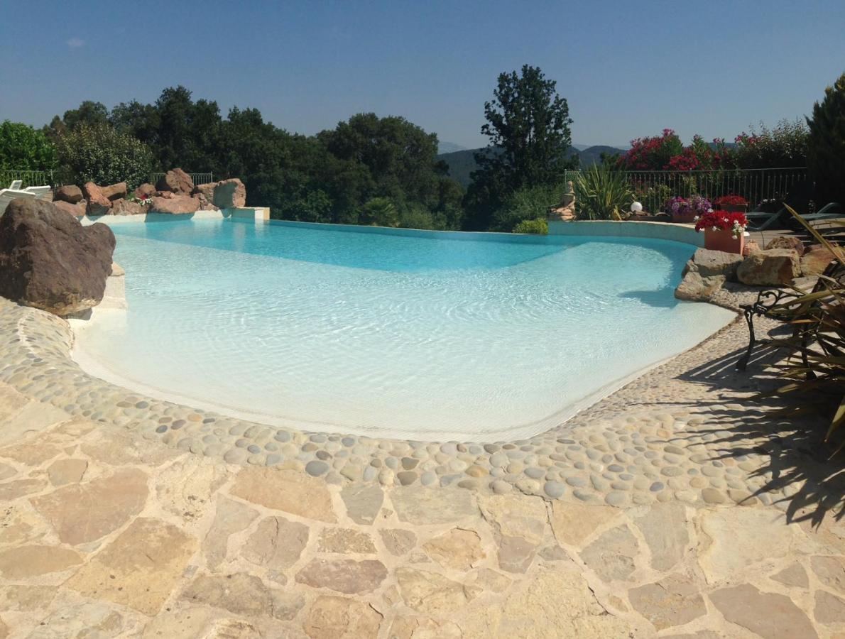 Un Petit Paradis En Provence Fréjus